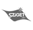 small logo